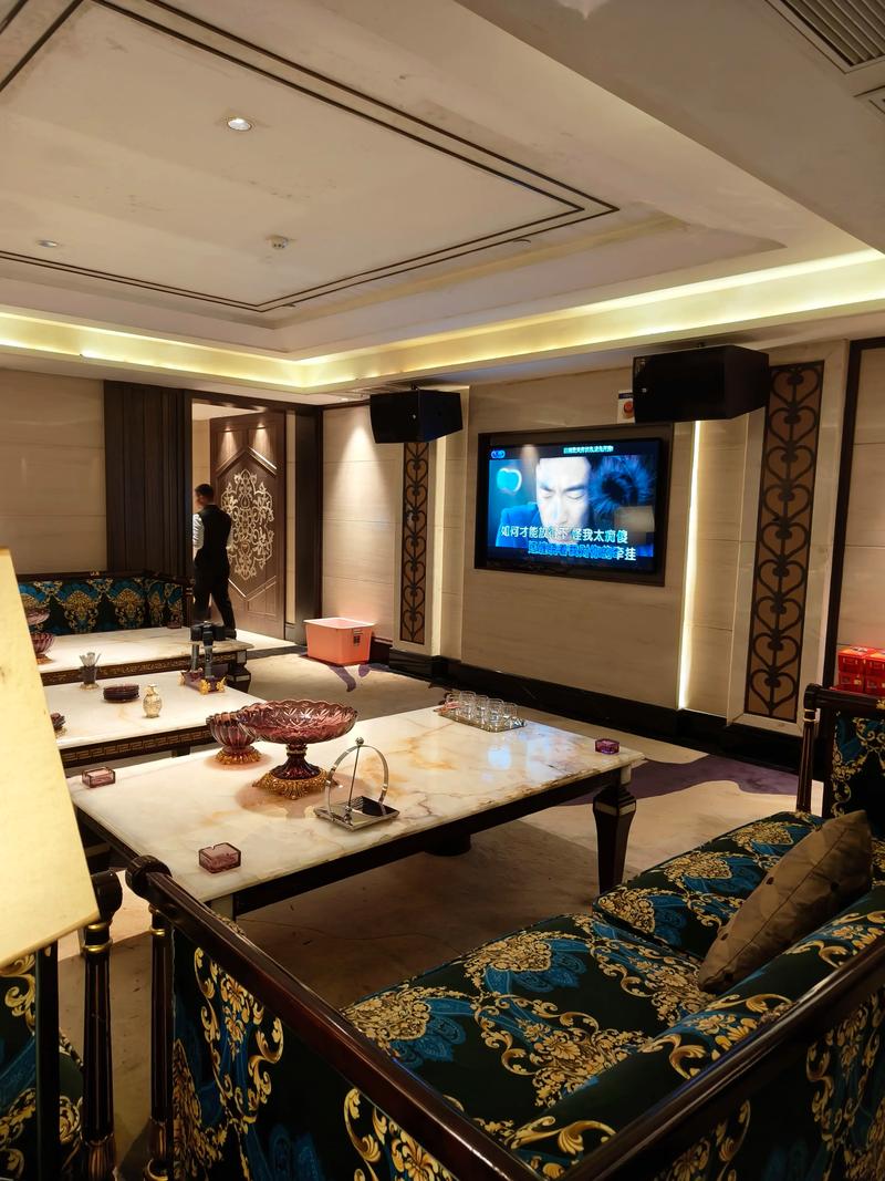 秦皇岛商务ktv计时方式-青龙满族自治县ktv预定